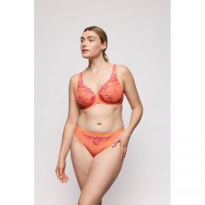 devdaha sunset blush