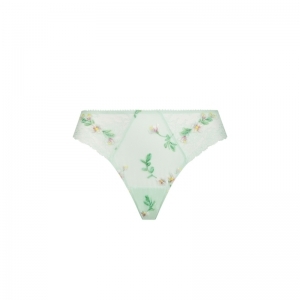 amour nymphea jade aqua