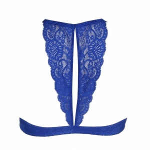 melipha blue print