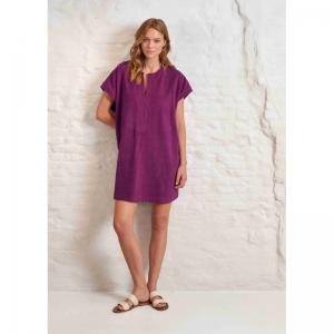 Plt summer plum