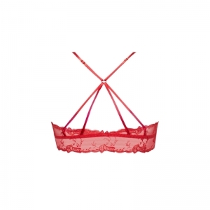 source beaute hibiscus