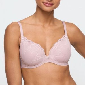 cathia bois de rose