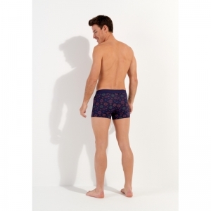 spectra navy print