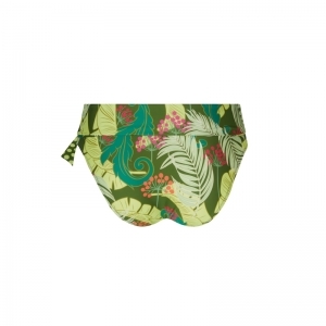 la venus nature bloem groen