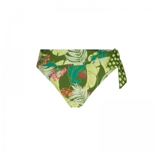 la venus nature bloem groen
