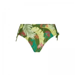 la venus nature bloem groen