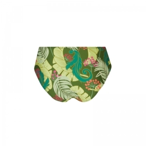la venus nature bloem groen