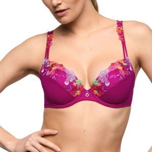 odilly wild rose