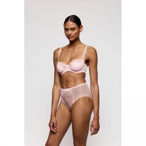noova gardenia rose