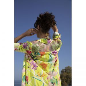 fleurs splendeur lime