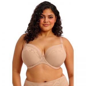 Nerina sahara