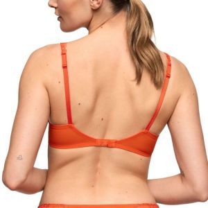cerina clementine